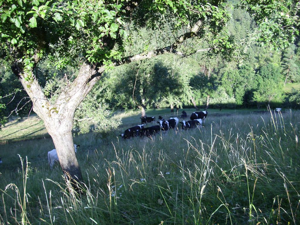 Farm Stay Zagar Мозирє Екстер'єр фото
